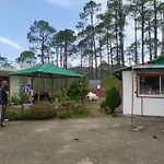 The Green Pine Cottage