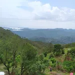 The Green Pine Cottage
