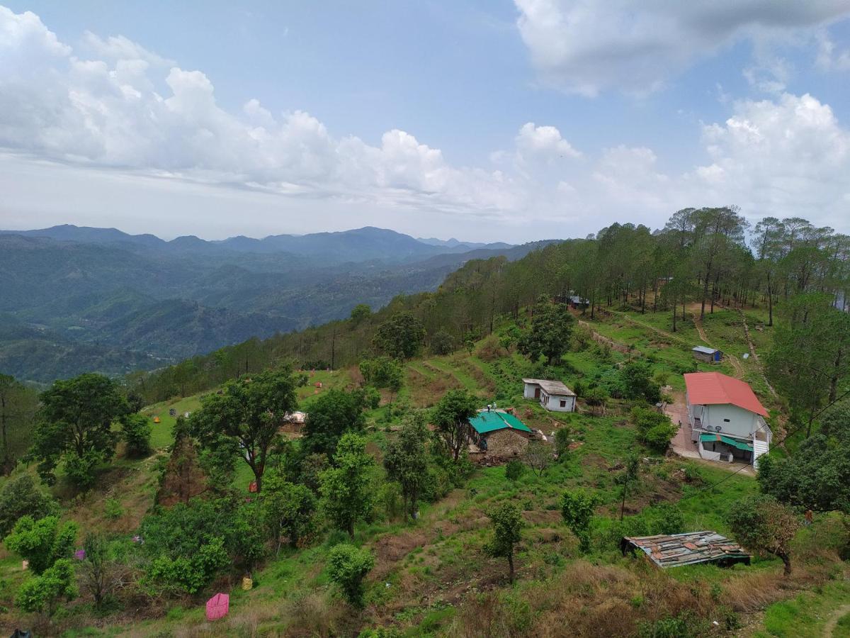 The Green Pine Resort *