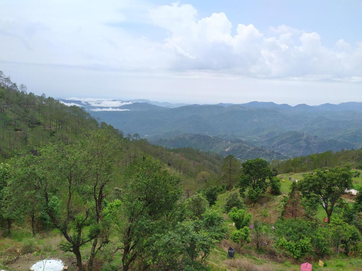 Resort The Green Pine *