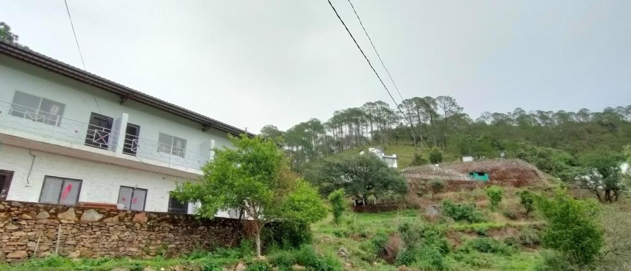 Resort The Green Pine